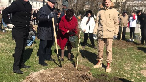 В Саду памяти появились первые саженцы В Саду памяти появились первые саженцы